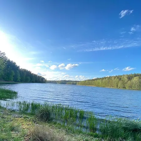 Dom W Lesie - Schodno13