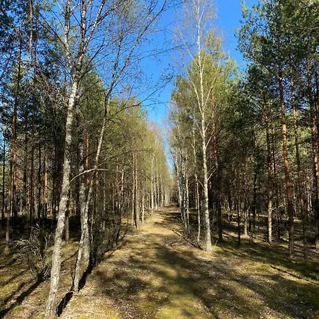 Dom W Lesie - Schodno13 Casa vacanze *