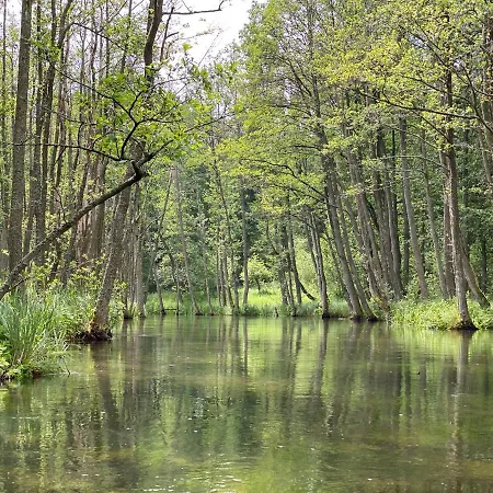 Dom W Lesie - Schodno13 *