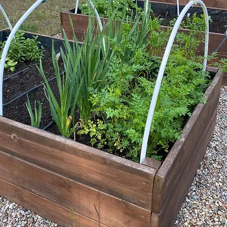 Dom W Lesie - Schodno13 Ferienhaus Schodno