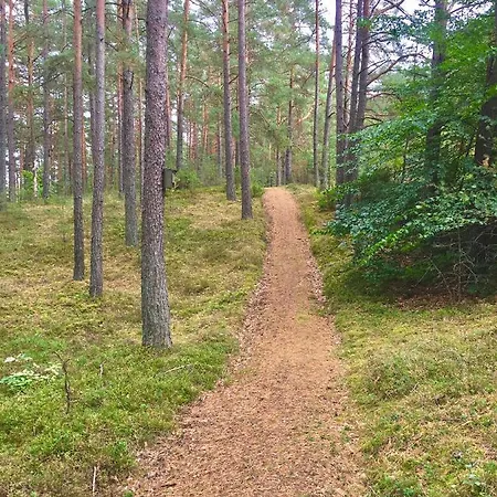 Casa vacanze Dom W Lesie - Schodno13 Schodno