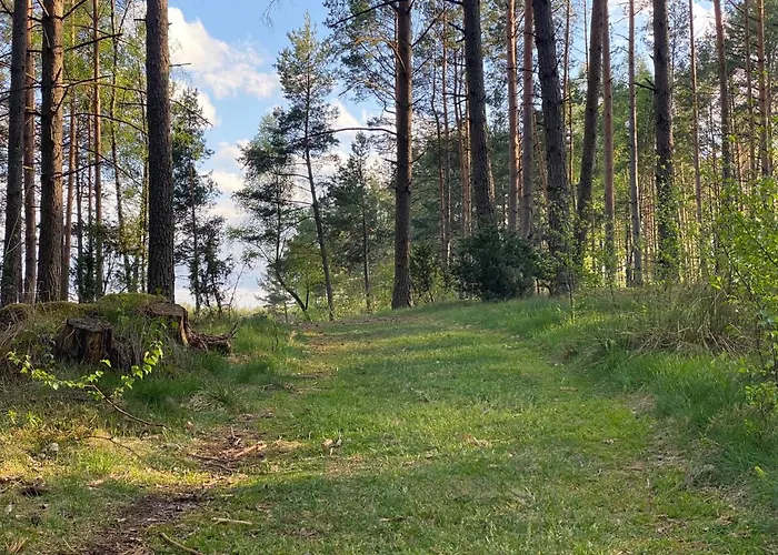 Dom W Lesie - Schodno13 بيت للعطل *