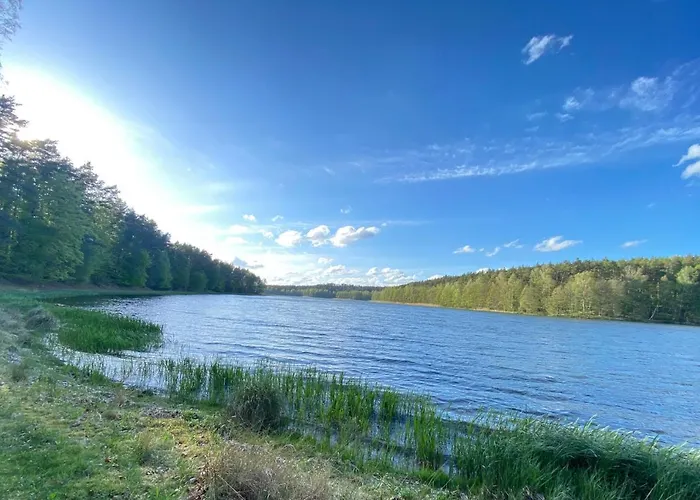 Dom W Lesie - Schodno13