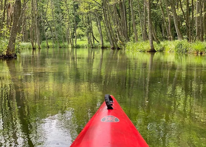 Dom W Lesie - Schodno13 Schodno