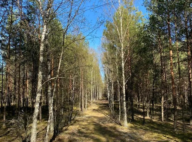 Dom W Lesie - Schodno13 بيت للعطل *