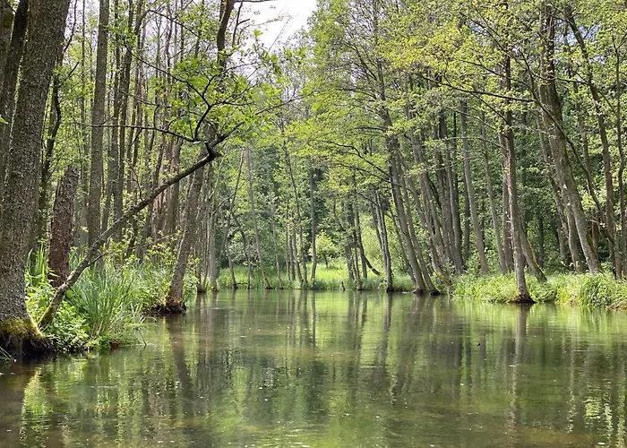 Dom W Lesie - Schodno13 *