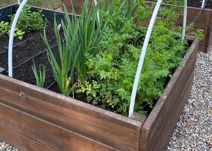 Dom W Lesie - Schodno13 بيت للعطل Schodno