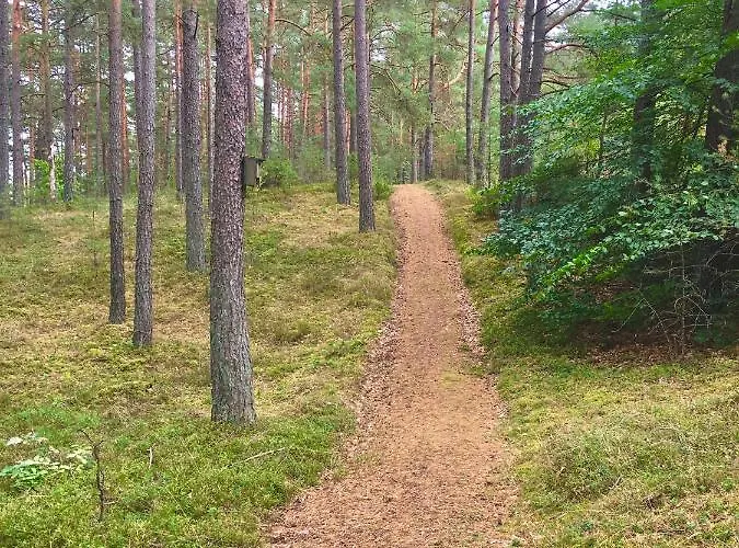 بيت للعطل Dom W Lesie - Schodno13 Schodno